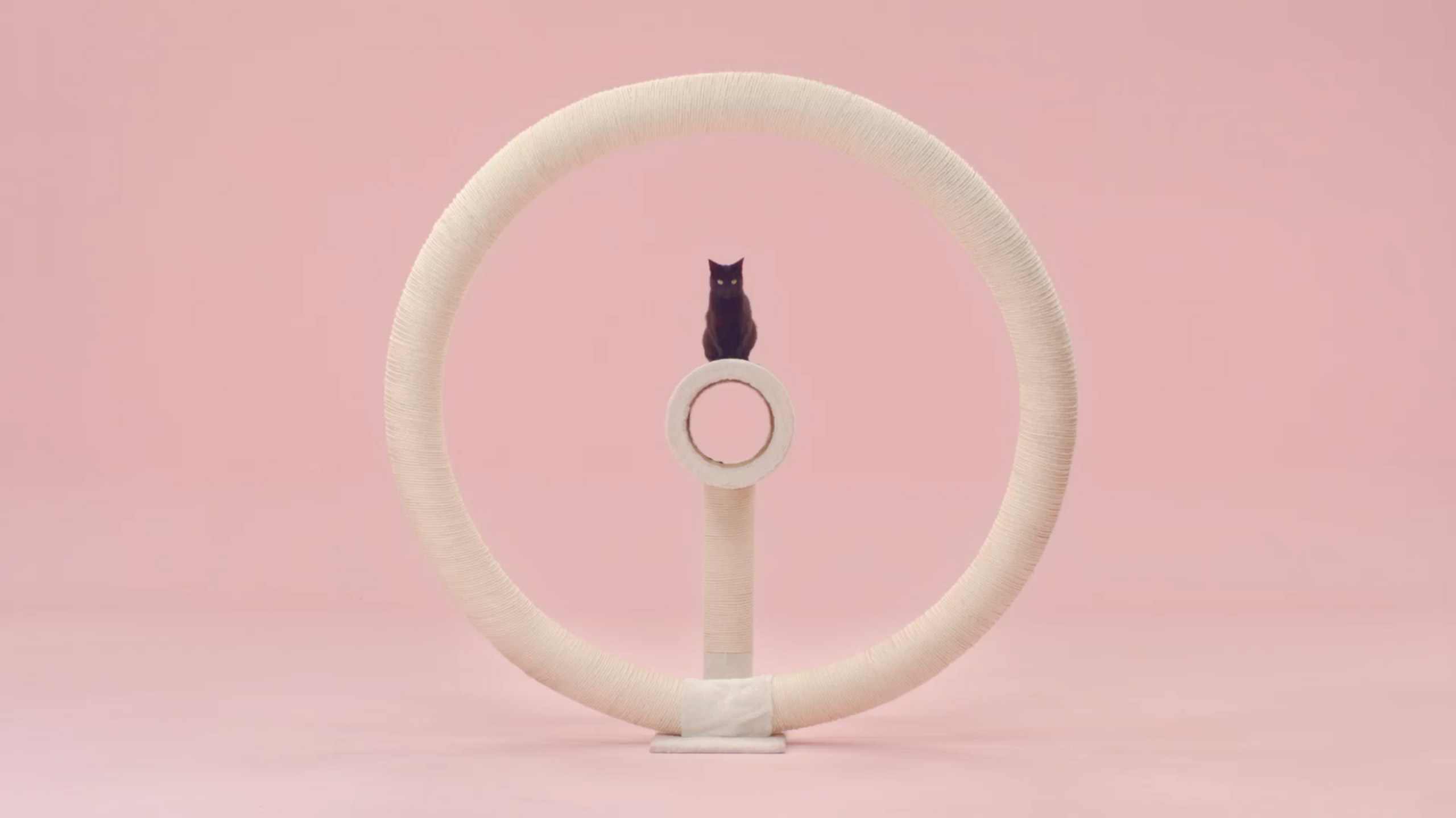 Studio Lernert & Sander — Manon